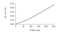 Sino Biological&nbsp;Recombinant Human PTP1B Protein (Full Length, GST Tag), Active